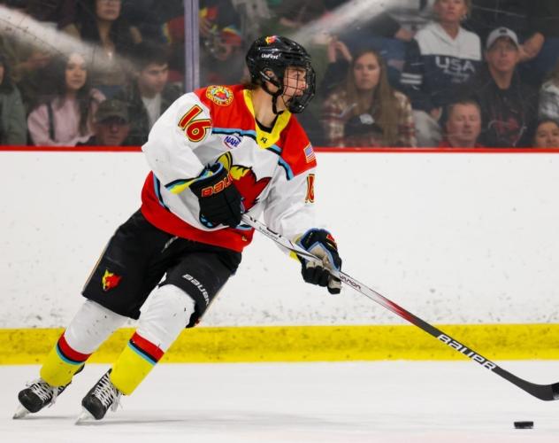 New Mexico Ice Wolves defenseman Francois De Villiers