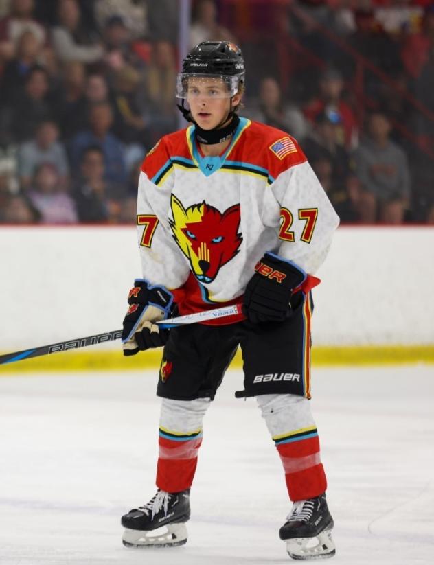 New Mexico Ice Wolves defenseman Damon Bickler