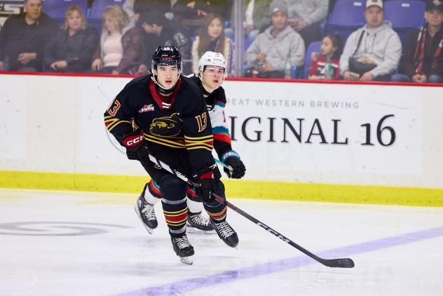 Vancouver Giants defenceman Damian Palmieri
