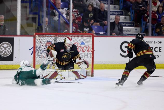 Vancouver Giants goaltender Brett Mirwald