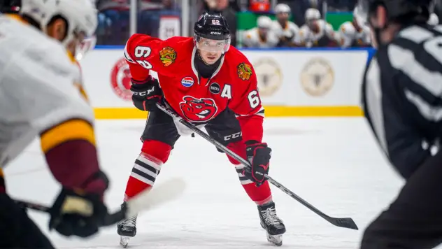 Rockford IceHogs forward Brett Seney