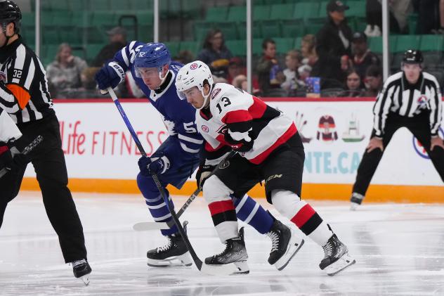 Belleville Senators right wing Xavier Bourgault