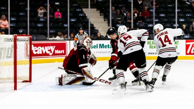 Vancouver Giants goaltender Matthew Hutchison makes a stop against the Red Deer Rebels
