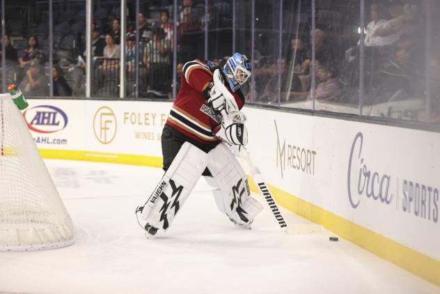 Tucson Roadrunners goaltender Jaxon Stauber