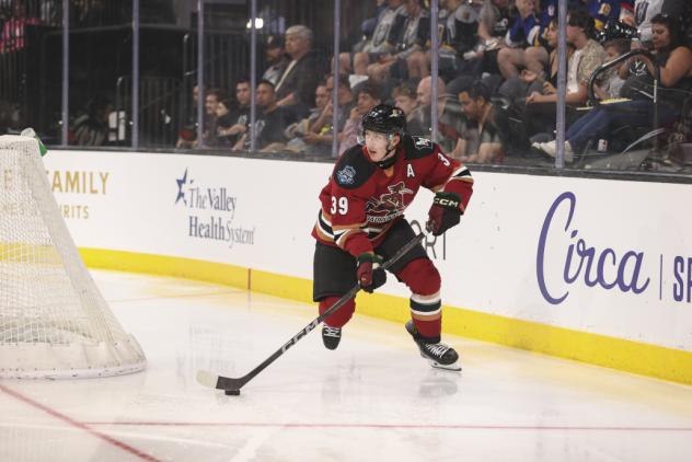 Tucson Roadrunners center Cameron Hebig