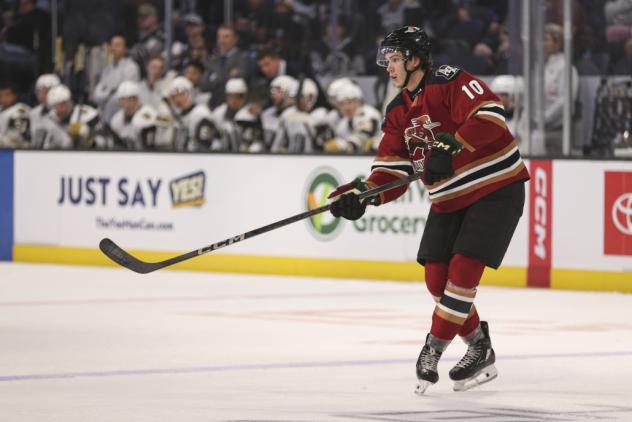 Tucson Roadrunners defenseman Maveric Lamoureux