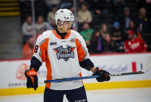 Flint Firebirds left wing Matthew Wang