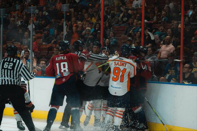 Greenville Swamp Rabbits mix it up with the South Carolina Stingrays