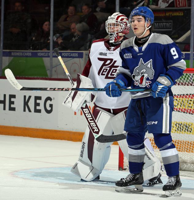 Peterborough Petes goaltender Liam Sztuska vs. the Sudbury Wolves