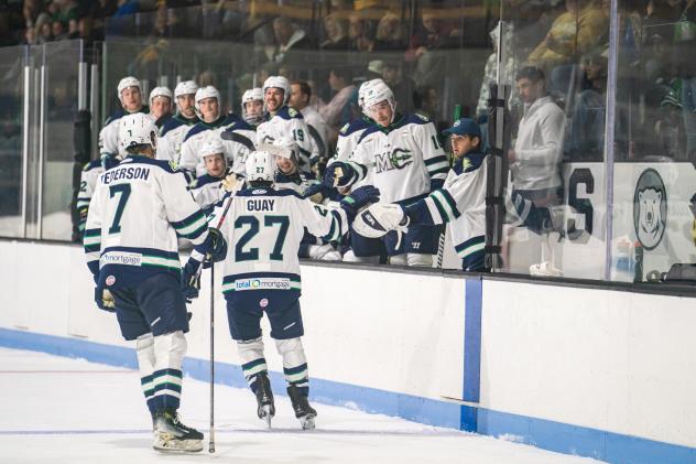 Maine Mariners exchange fist bumps along the bench