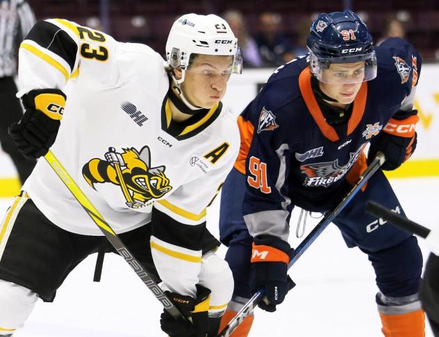 Flint Firebirds face off with the Sarnia Sting