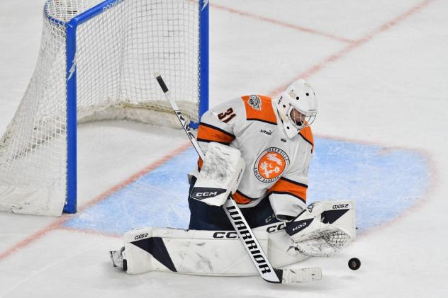 Goaltender Luke Richardson with the Greenville Swamp Rabbits