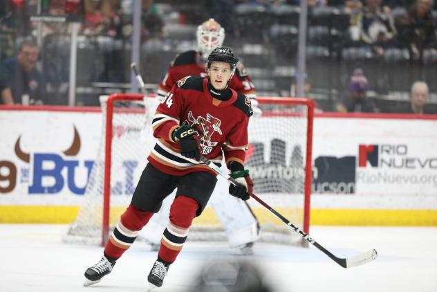 Tucson Roadrunners defenseman Patrik Koch