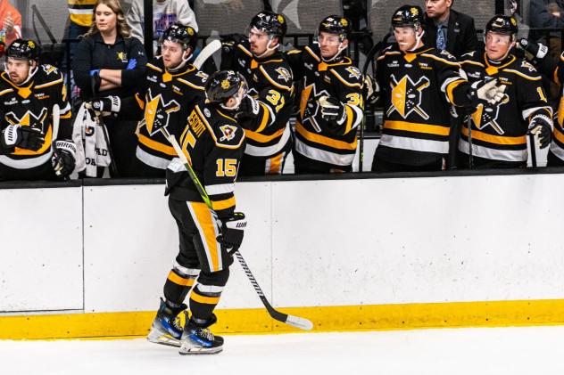 Wheeling Nailers exchange congratulations along the bench