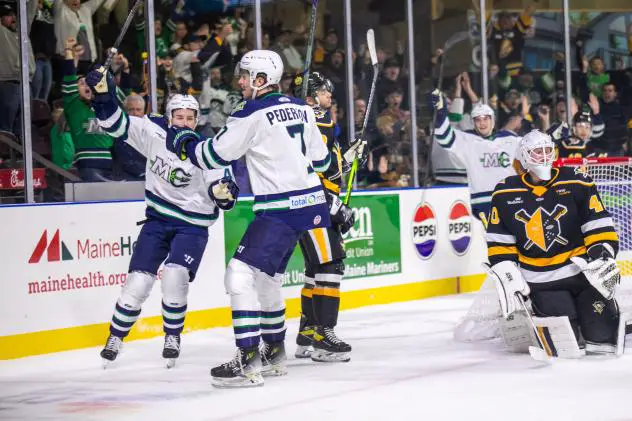 Maine Mariners' Owen Pederson on the ice