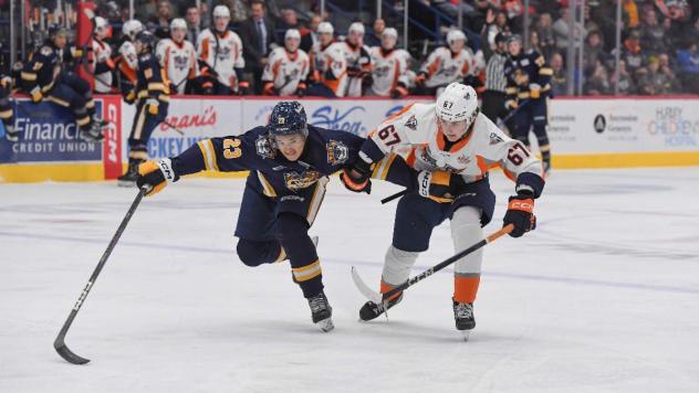 Erie Otters' Keagan Knight versus Flint Firebirds' Cole Zurawski