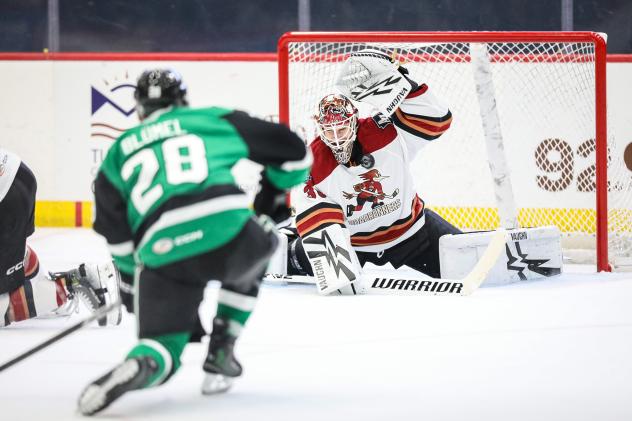 Tucson Roadrunners goaltender Jaxson Stauber vs. the Texas Stars