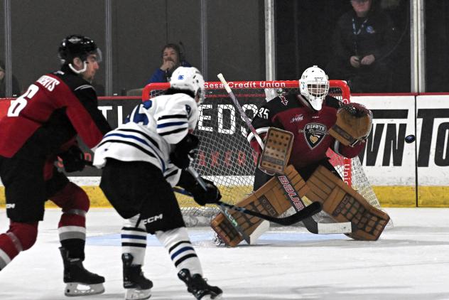 Vancouver Giants goaltender Burke Hood