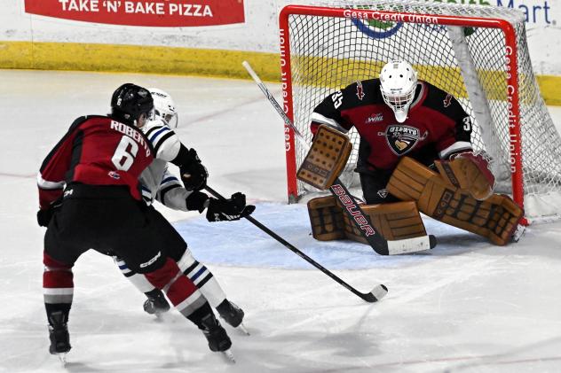 Vancouver Giants goaltender Burke Hood