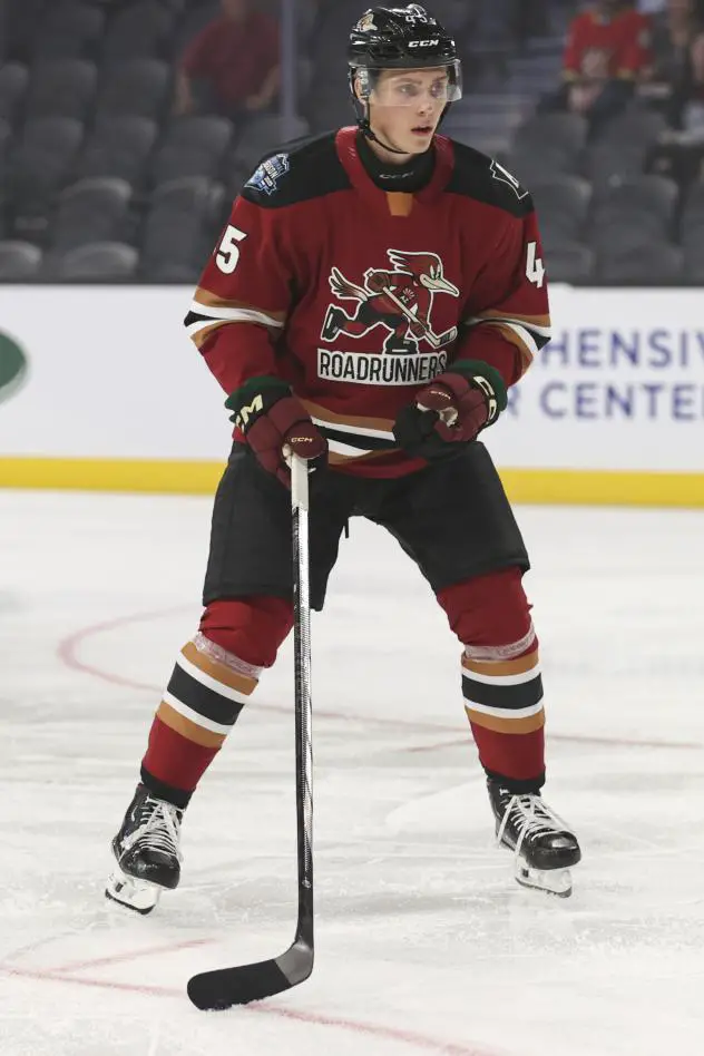 Tucson Roadrunners forward Noel Nordh