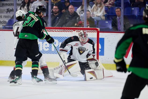 Vancouver Giants goaltender Matthew Hutchison