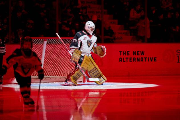 Vancouver Giants goaltender Burke Hood