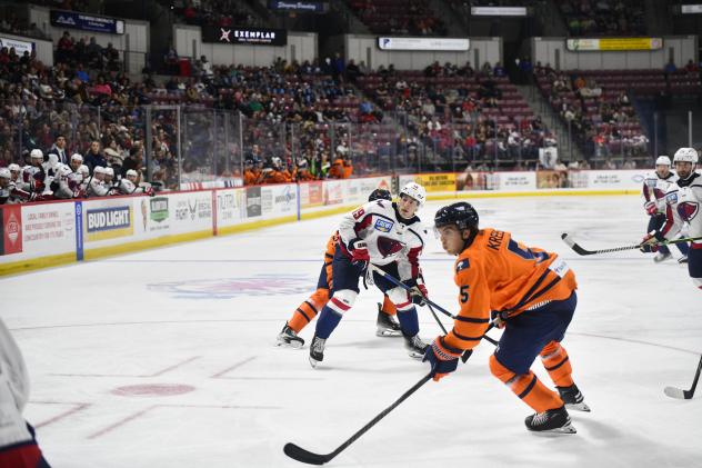 Greenville Swamp Rabbits battle the South Carolina Stingrays