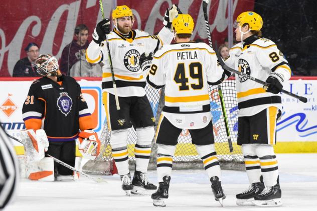 Wheeling Nailers celebrate a goal against the Reading Royals
