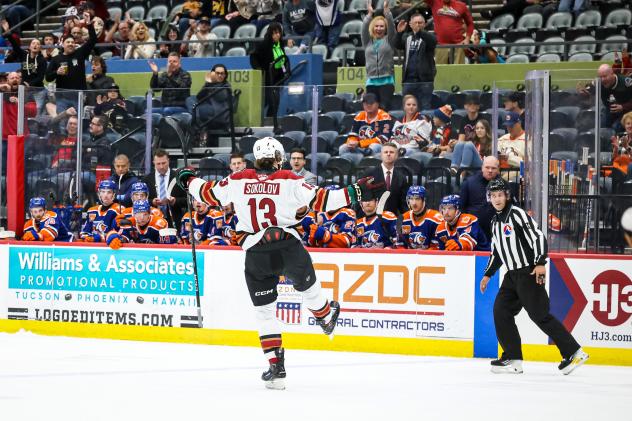 Tucson Roadrunners' Egor Sokolov on game night