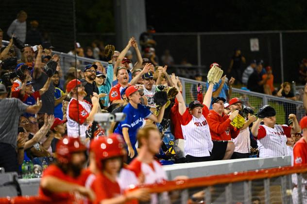 Ottawa Titans fans enjoy a game