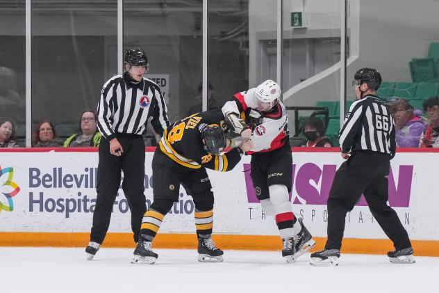 Belleville Senators fight with the Providence Bruins