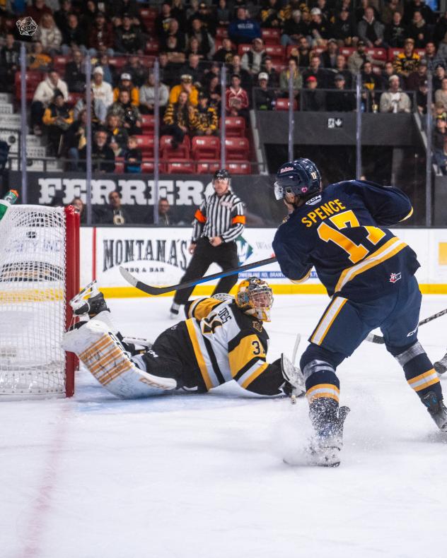 Brantford Bulldogs' Ryerson Leenders and Erie Otters' Malcolm Spence in action