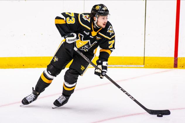 Wheeling Nailers' Mats Lindgren on game night