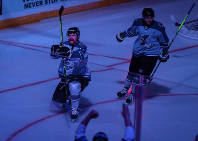 Wichita Thunder celebrate a goal