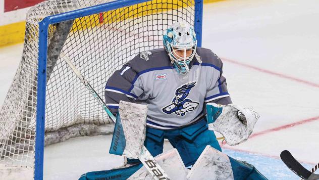 Wichita Thunder goaltender Gabriel Carriere