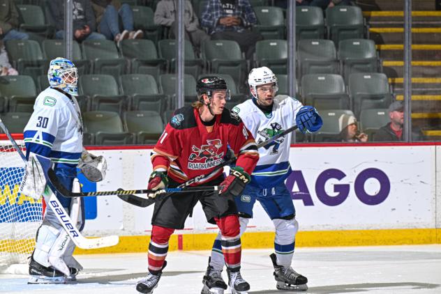 Tucson Roadrunners forward Josh Doan
