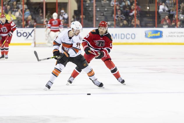 Rapid City Rush forward Maurizio Colella (right)