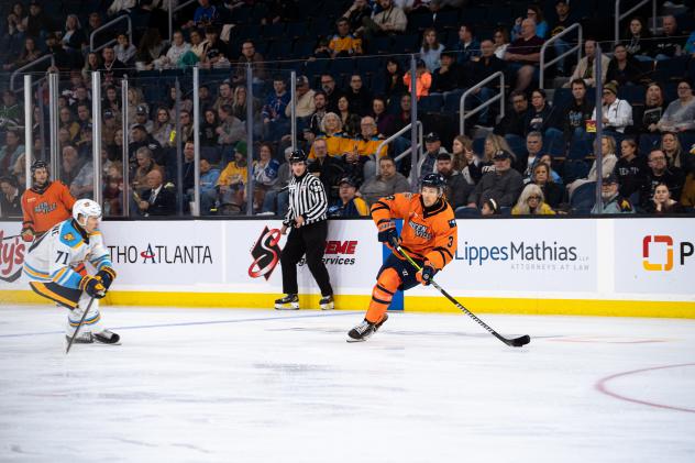 Greenville Swamp Rabbits defenseman Joe Leahy