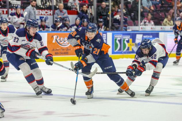 Flint Firebirds left wing Matthew Wang