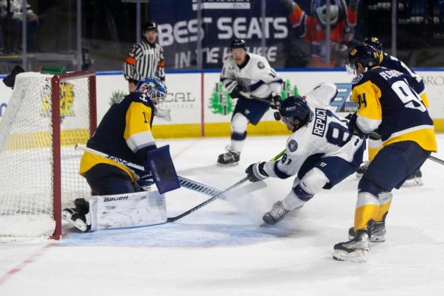 Worcester Railers forward Anthony Repaci vs. the Norfolk Admirals