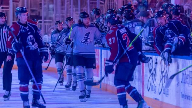 Wichita Thunder exchange fist bumps along the bench vs. the Tulsa Oilers