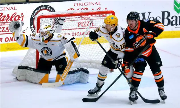 Wheeling Nailers goaltender Sergei Murashov gloves a save