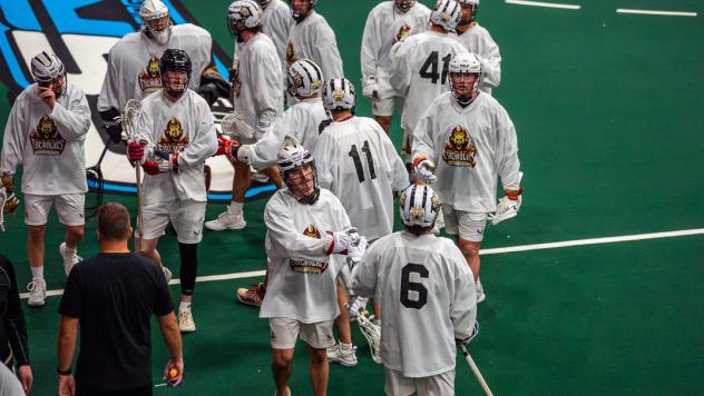 Albany Firewolves training camp
