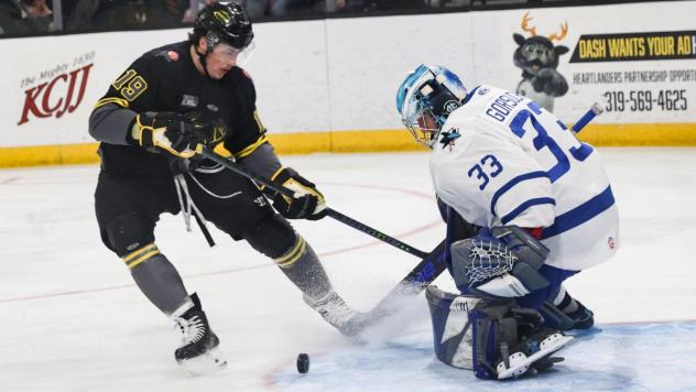 Wichita Thunder goaltender Trevor Gorsuch eyes a loose puck