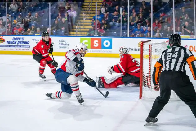 Springfield Thunderbirds battle the Charlotte Checkers
