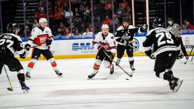 Wichita Thunder face the Kansas City Mavericks