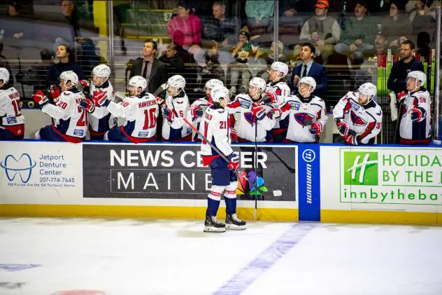 South Carolina Stingrays exchange high fives along the bench
