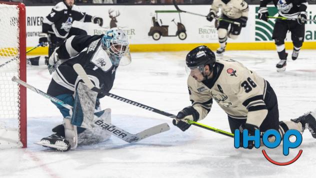 Wichita Thunder goaltender Gabriel Carriere