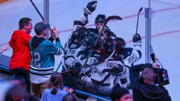 Wichita Thunder celebrate a goal along the boards