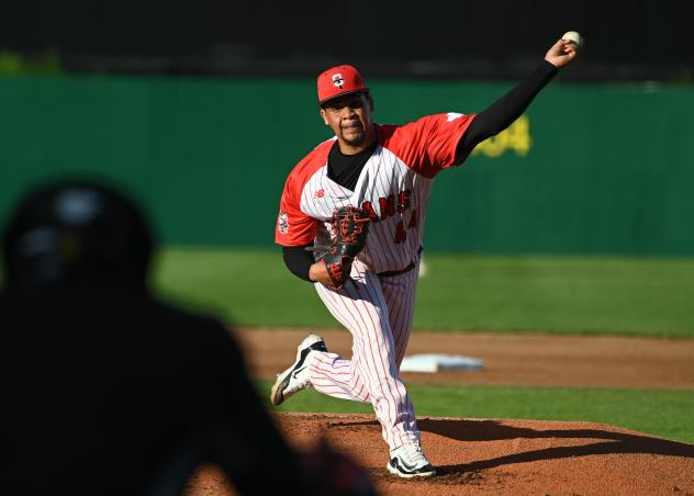 Ottawa Titans pitcher Bryan Peña